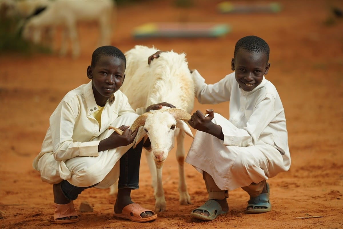 Afrika Kurban Bağışı